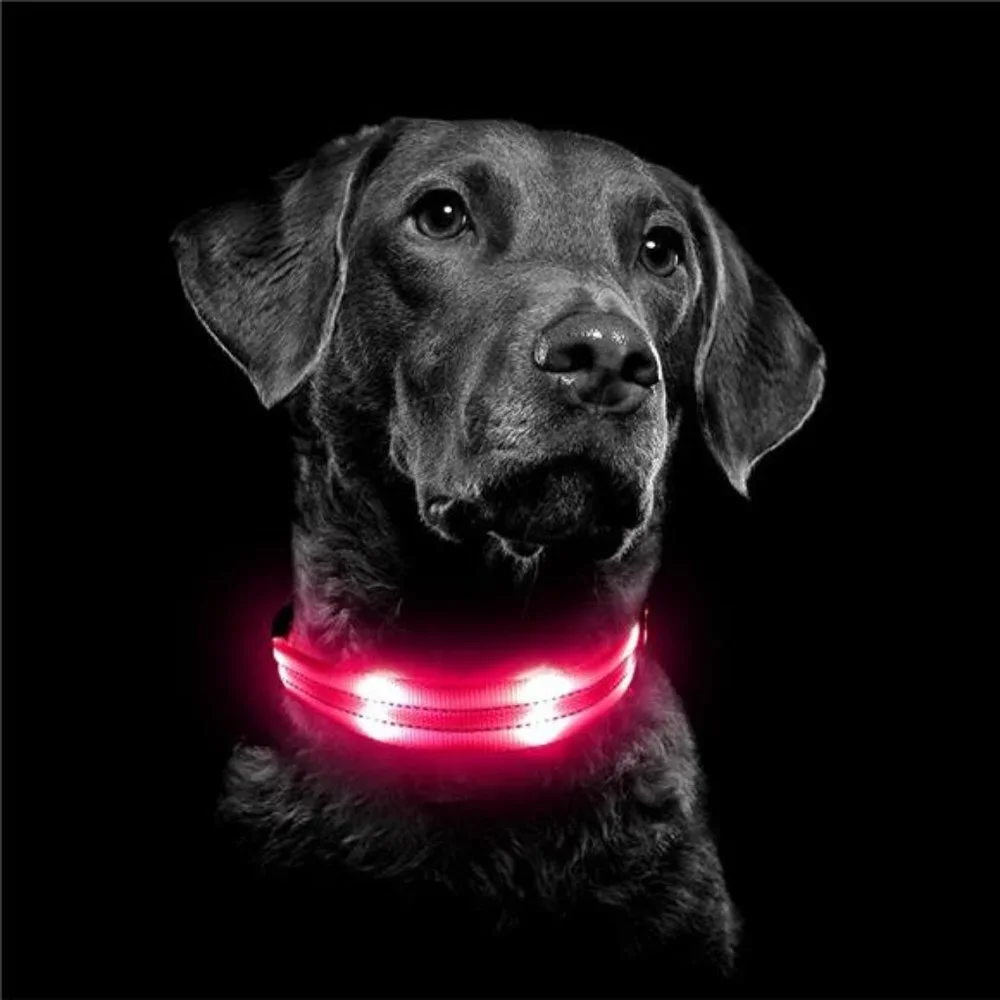 Led Dog Collar, Rechargeable Light Up Collar Waterproof, Pink